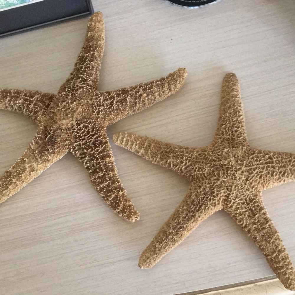 Starfish